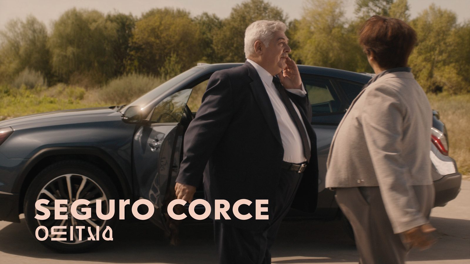 Seguro coche asistencia